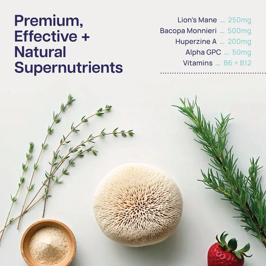 MindFlex Focus Gummies