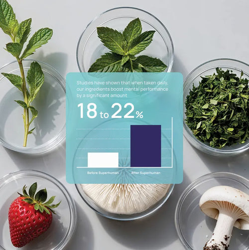 MindFlex Focus Gummies