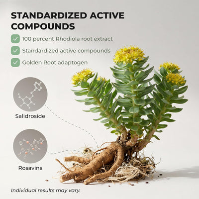 Rhodiola Rosea